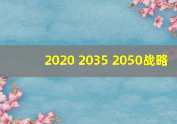 2020 2035 2050战略